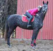 stald.teglvang.dk Corriane