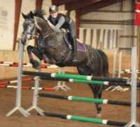 stald.teglvang.dk Corriane