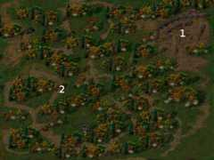 baldursgate.goo.cz Corsone