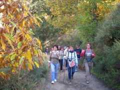 panoramio.com Corteza