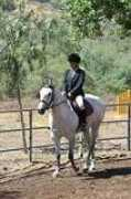 jamul4h.org Cosandra