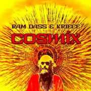 ashoka.com.pl Cosmix