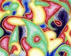 Cosmosis