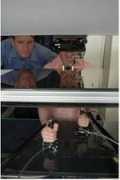 solociencia.com Cosquillas