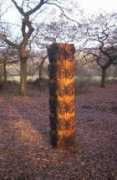 artnews.org Cossey