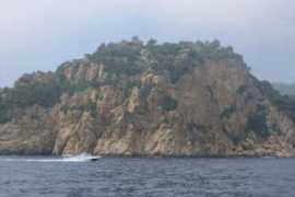 dennishollingsworth.us Costabrava