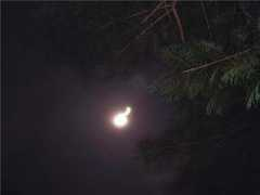 paranormalphotos.tripod.com Costarica