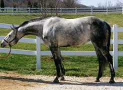 fallcreekfarm.com Cottie