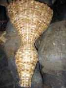 Coubis