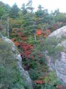 Couleurs