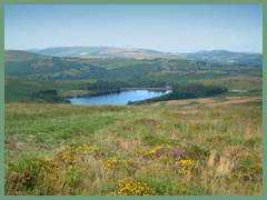 holneparishcouncil.co.uk Counil