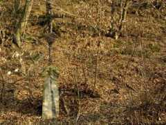 inenaso.pise.cz Courani