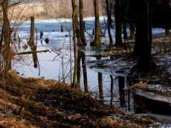 inenaso.pise.cz Courani