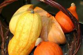 atome77.com Courge