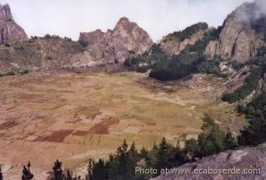 Cova