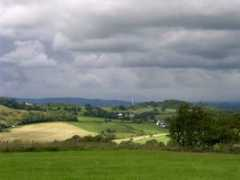 Cowden