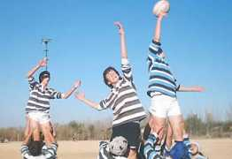 rugbydecuyo.com.ar Cpbm