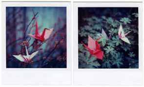 mylalaland.com Cranes