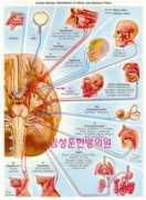 herbalclinic.co.kr Cranne
