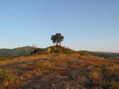 panoramio.com Crasto