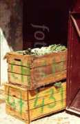 fotolibra.com Crates