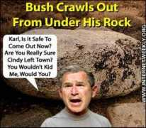 Crawl