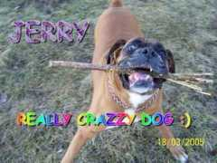 Crazzy