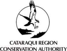 Crca