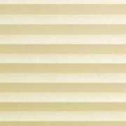 blindsexpress.com Cream