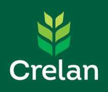 onbetong.be Crelan