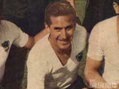 dalealbo.cl Cremaschi