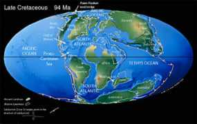 discoveringfossils.co.uk Cretaceous