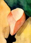 Crevice