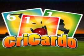 game.afreecodec.com Cricardo