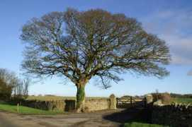 geograph.org.uk Crickley