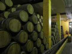 entornointeligente.com Crifo