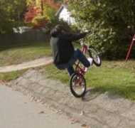 infantrybmx.com Crikette