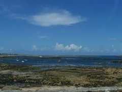Crisand
