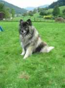 Crishan