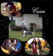 Crissie
