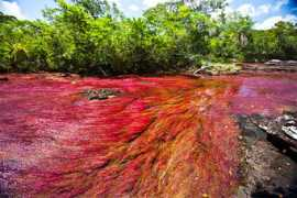 Cristales