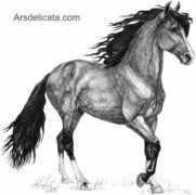 arsdelicata.com Cristobalito