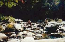 Criver