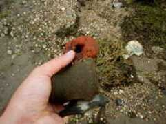 alexisphoenix.org Crivina