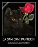 Crni