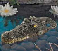 pcnews.ro Crocodil