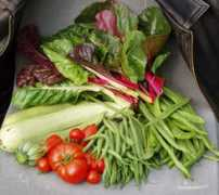 rakupottery.org.uk Crops