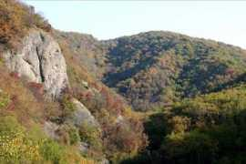 Crosi