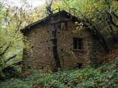 Crosi