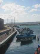 davidgreer.ca Crotone